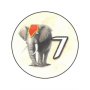 Zvířata (Cirkus)