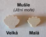 Velká mušle (Jižní moře) Screenshot