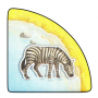 Napajedlo zebra (Safari)