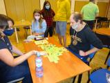 Mistrovství ČR v Carcassonne -16. ročník Screenshot