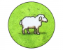 Ovce (Carcassonne 1)