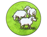 Ovce (Carcassonne 1) Screenshot